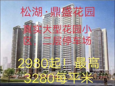 东莞大朗小产权房​【松湖·鼎盛花园​】大朗正中心区、城市中央与商品房一墙之隔、直正为邻！​