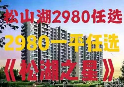 东️️️莞大朗松山湖小产权房【松湖之星】2980任选, 松山湖最便宜楼盘!