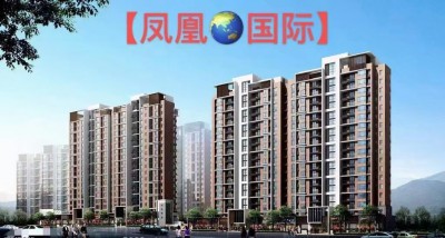 东莞凤岗280套大型统建楼【凤凰国际】​首付8万8起，开发商无条件分期5年!​